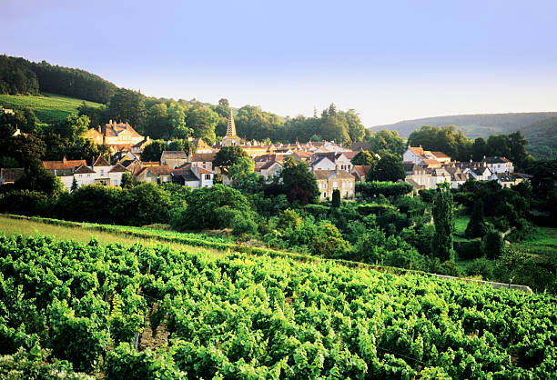 Hôtels à Nuits-Saint-Georges